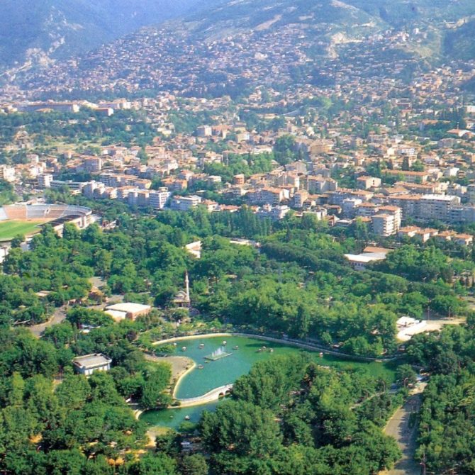 bursa